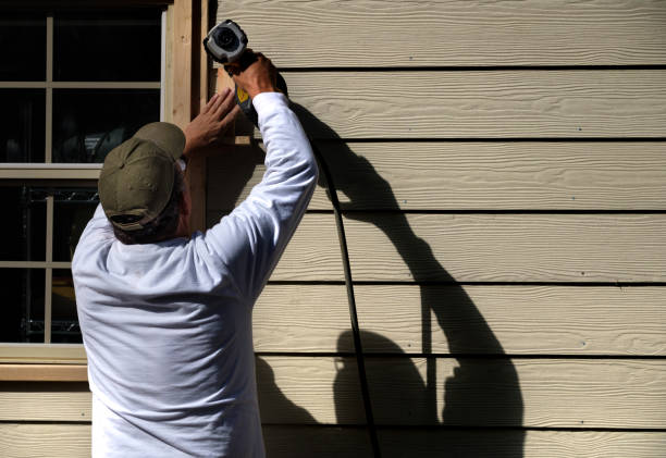 Best Custom Siding Design  in Forest Park, IL